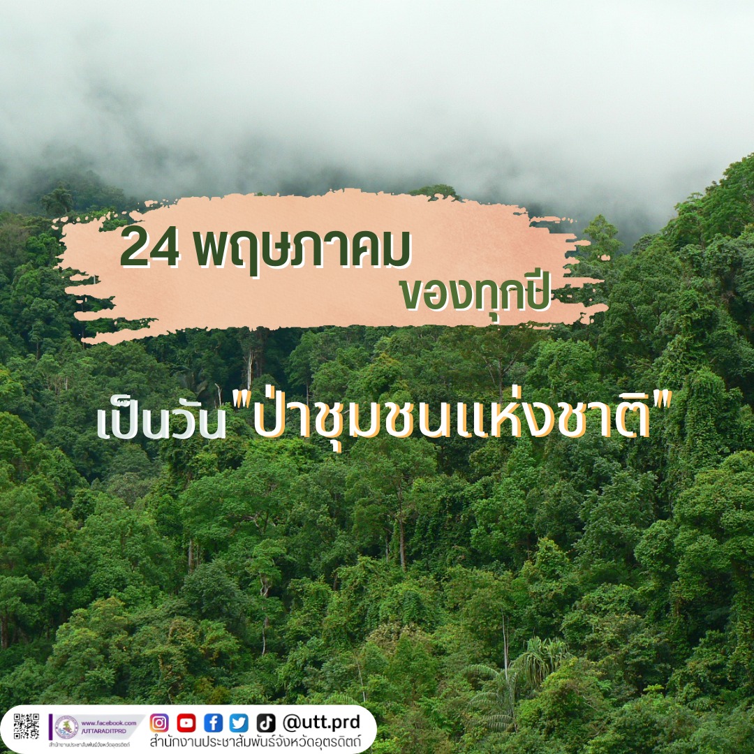 รูปภาพหน้าปก 58ba0f75-508d-436b-a317-a537413405e8