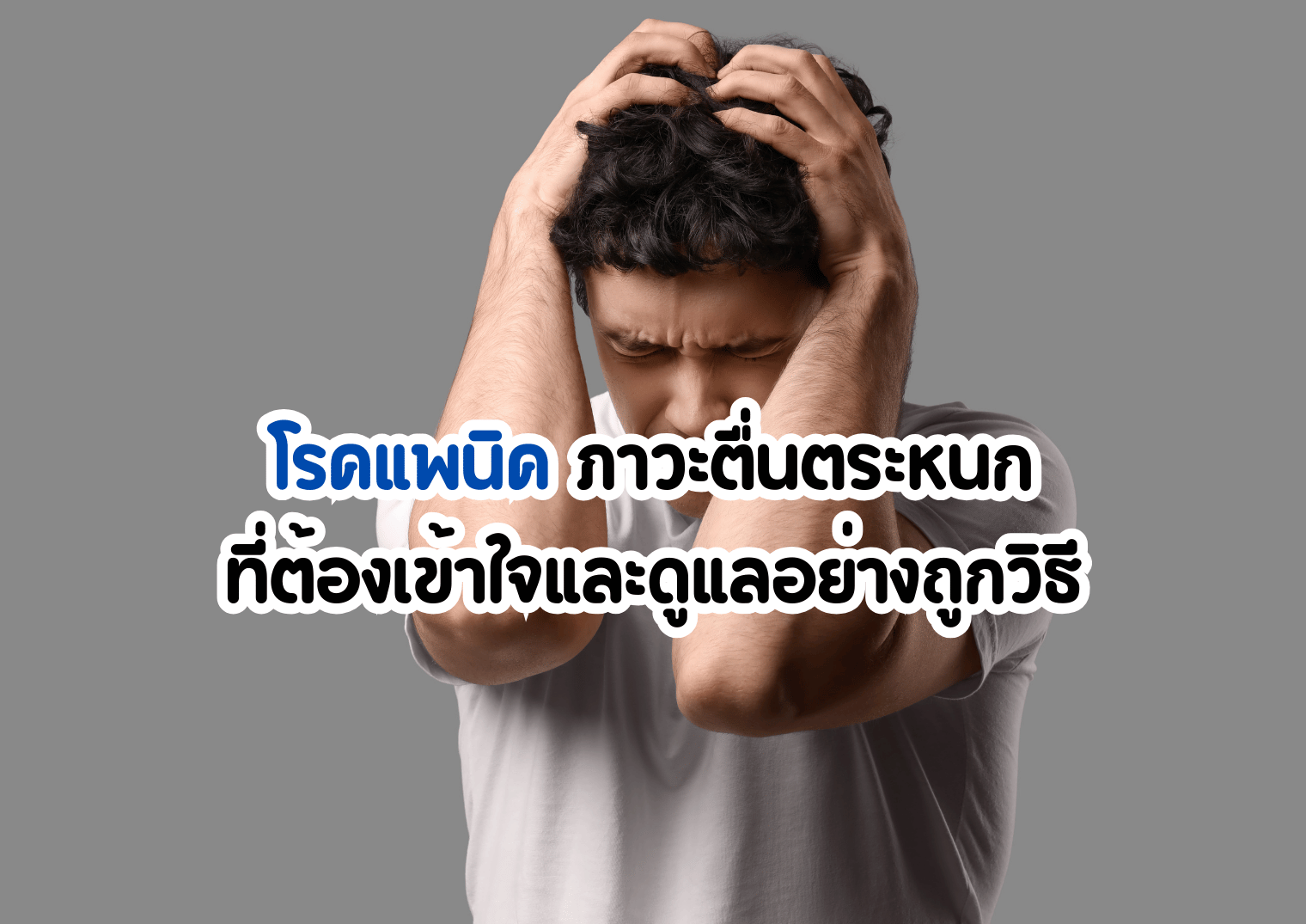 รูปภาพหน้าปก ad403f5e-1cd3-4fe5-b13c-821dee6ccc97