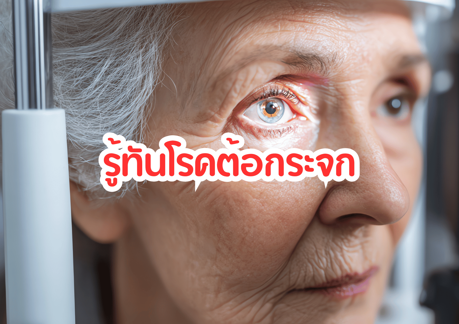 รูปภาพหน้าปก 61d279a0-7f04-4966-a998-e6131a21d5ce