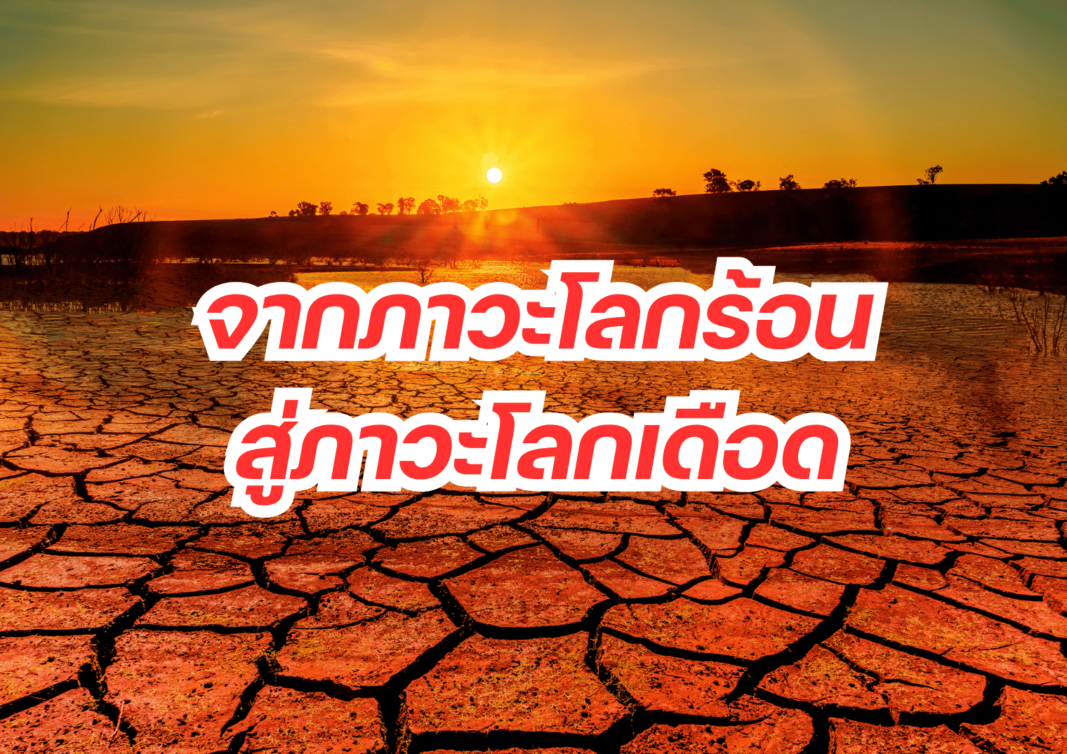 รูปภาพหน้าปก dac85ab7-58b1-4185-a4eb-c55184a3d5a5