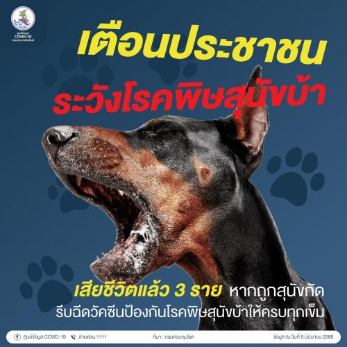 รูปภาพหน้าปก f6036d8b-5b91-4ccd-80ca-264afb244f4b