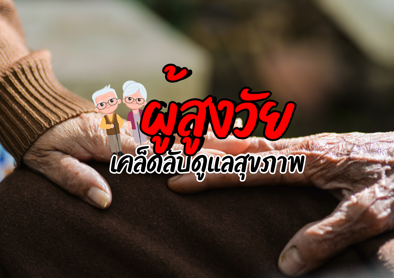 รูปภาพหน้าปก 52807368-71cf-4759-942c-7a2787b15a28