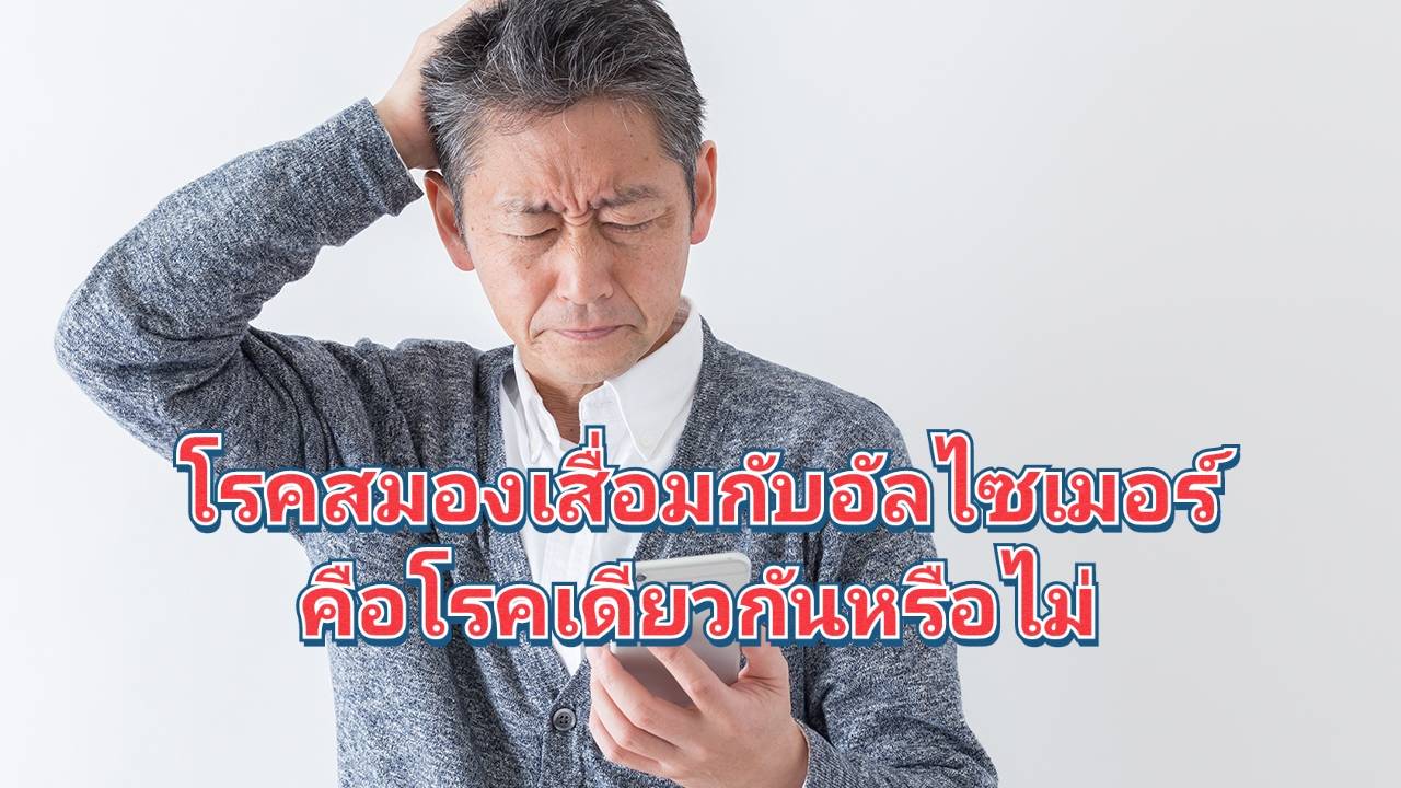 รูปภาพหน้าปก ed565b06-5785-4057-8ee9-807fa0f90a7b