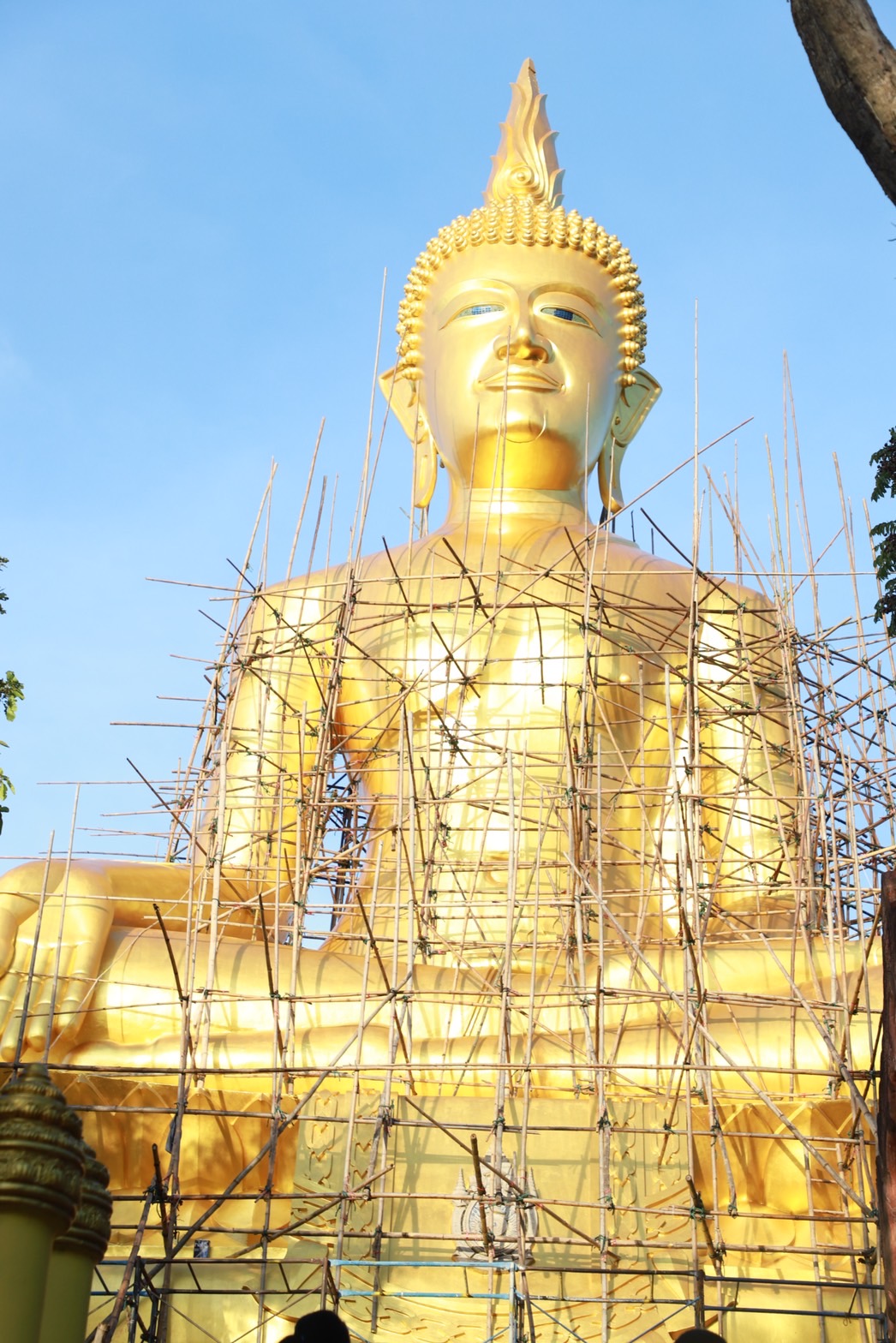 รูปภาพหน้าปก 5f2ddd44-09fe-4a73-bcbe-62d07b4457ec