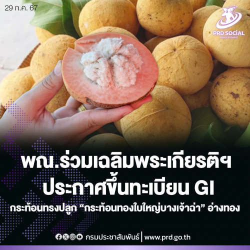 รูปภาพหน้าปก b54c8ed7-6308-4fe7-a31f-05cd5183cccc