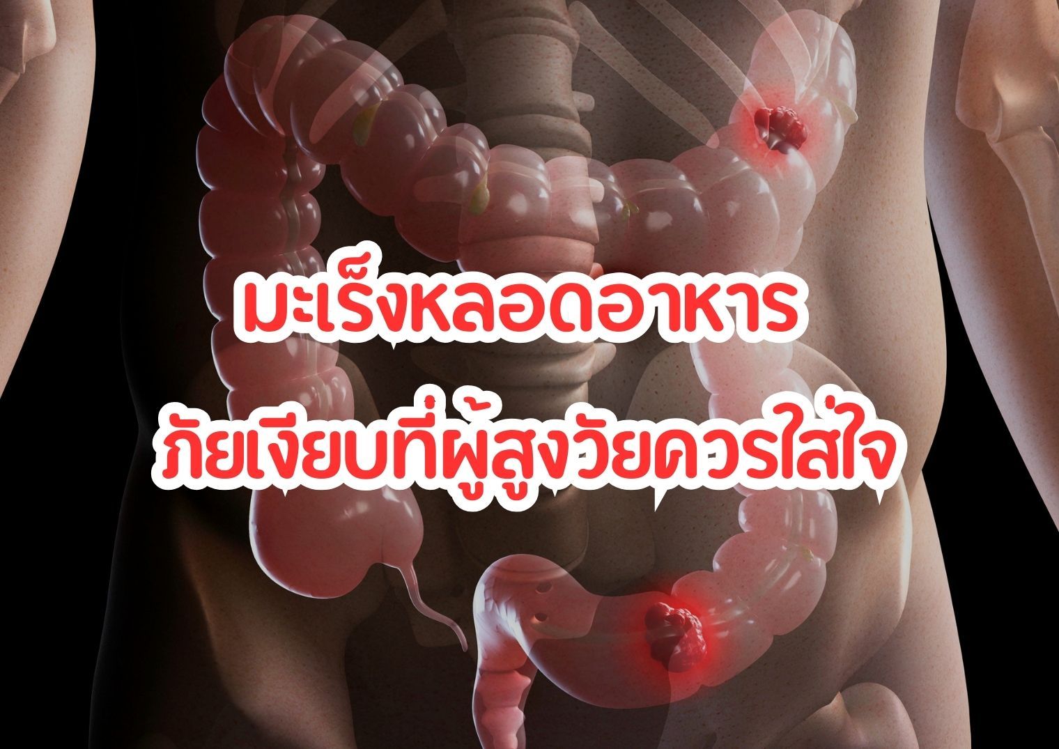รูปภาพหน้าปก dada8ec9-9826-4779-b964-6fa991911220
