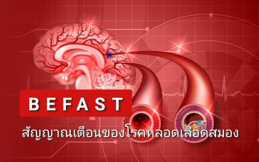 รูปภาพหน้าปก a0fd9ac8-7ec3-45b8-941d-7633f8dc2f25