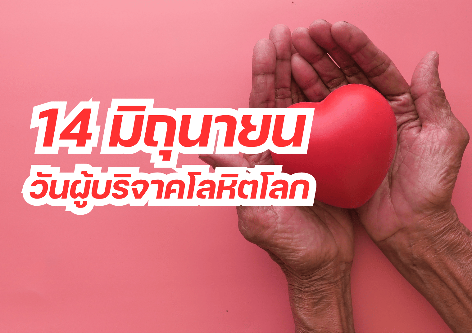 รูปภาพหน้าปก 39ea832a-30b0-4307-bc0c-350d04052d09