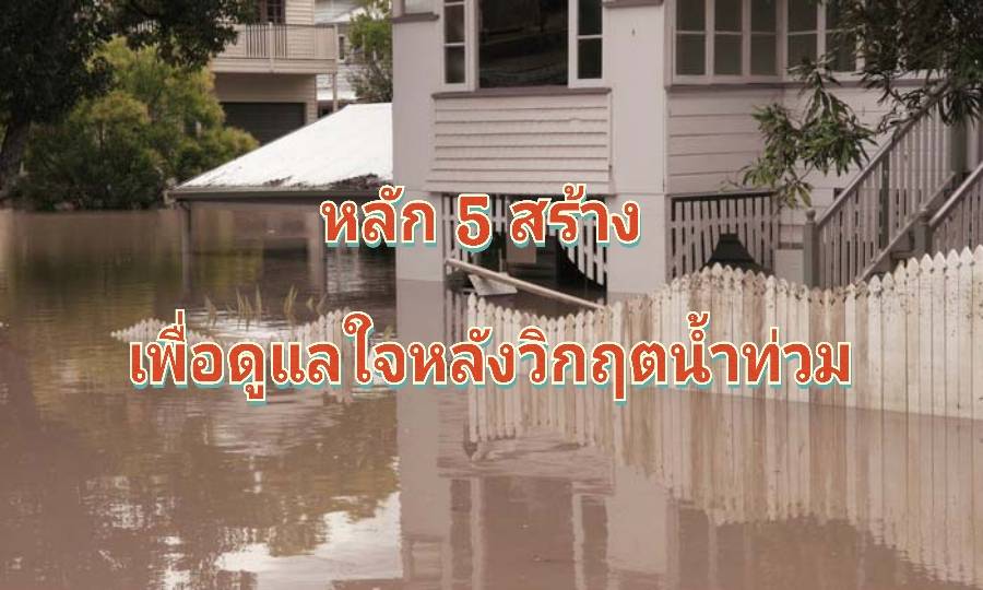 รูปภาพหน้าปก 823c895b-3e7d-4213-9aae-30f8a5990d6e