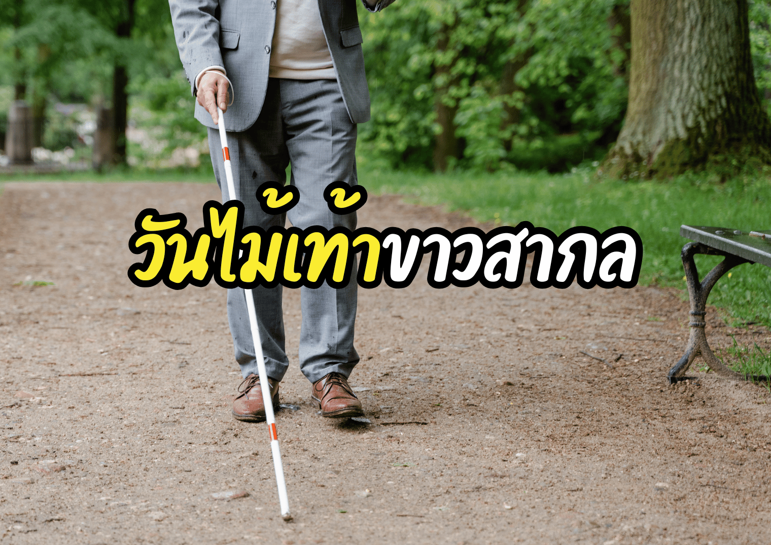 รูปภาพหน้าปก 4fcf5394-3101-419e-90c4-bf2b33b600c5
