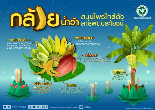 รูปภาพหน้าปก 4a643da6-92d7-4d05-96b9-f0364da0dd2f