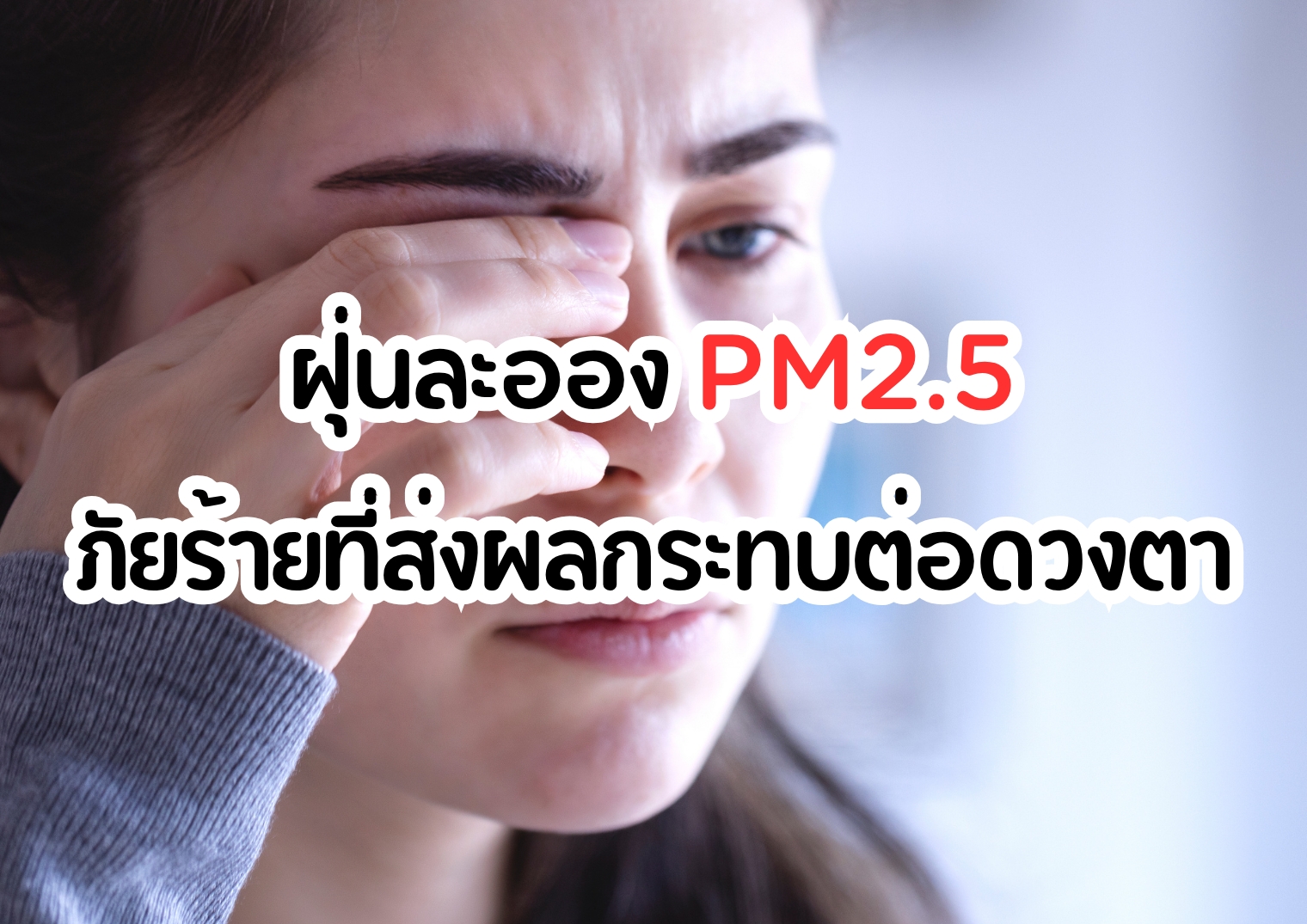 รูปภาพหน้าปก 9e77c98c-f22e-4eec-b714-34b08d6e3147