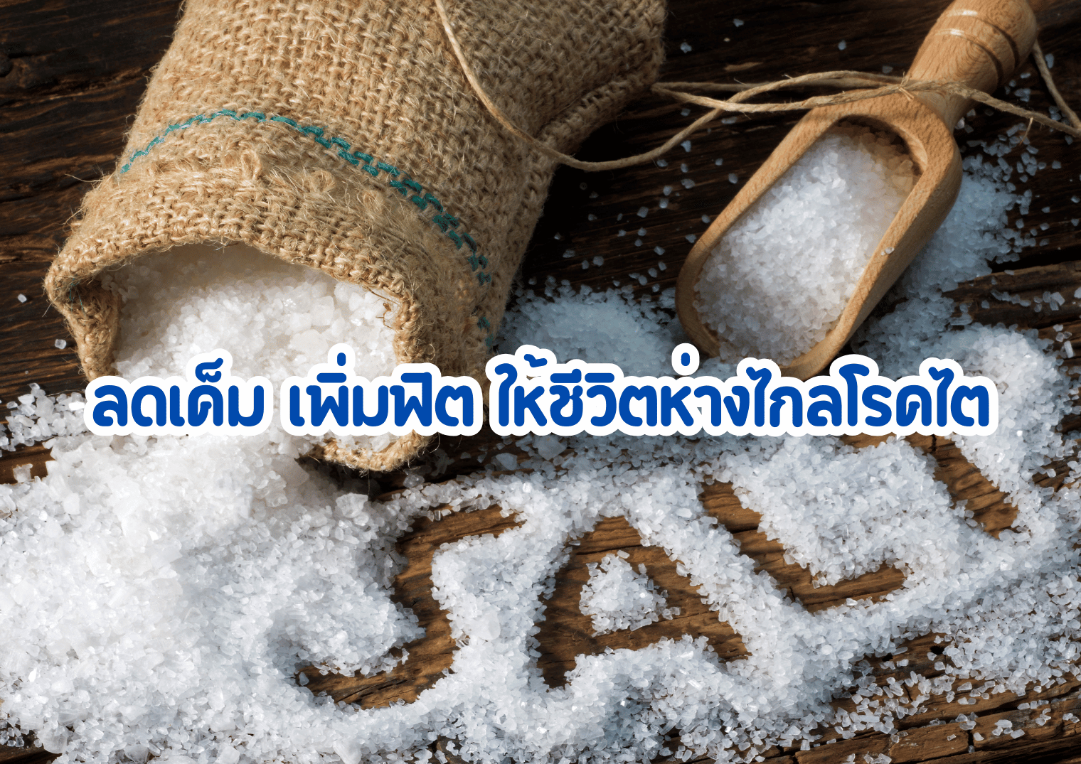 รูปภาพหน้าปก 544608c6-900f-4bfb-9397-d781df878363