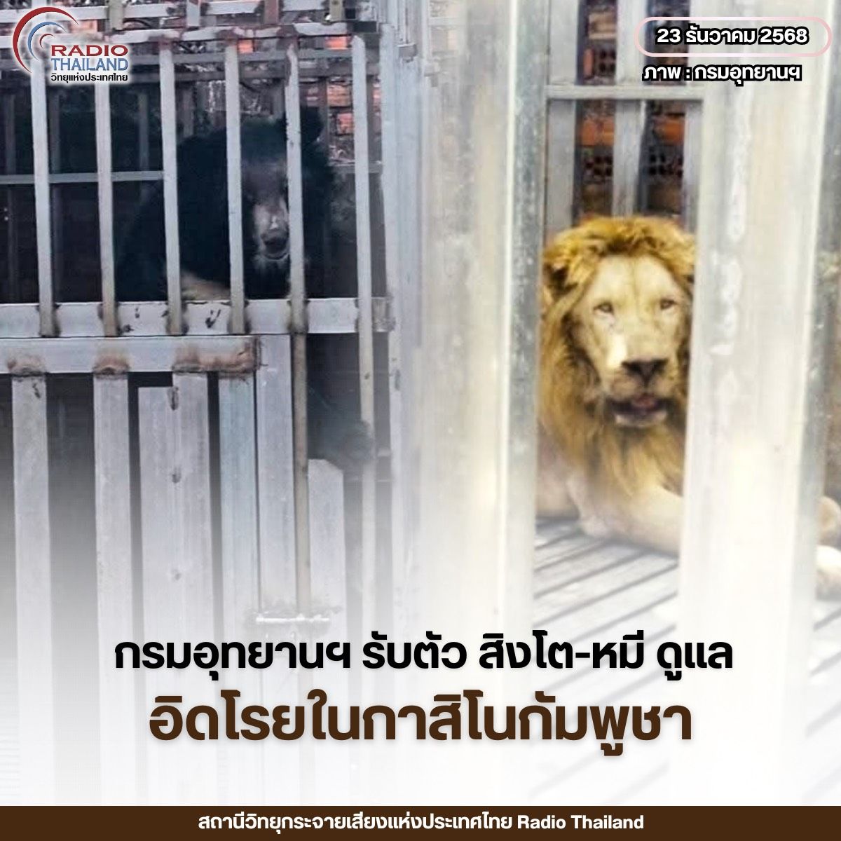 รูปภาพหน้าปก 0076c244-3d0b-4d0a-bdc8-364e8a244d35