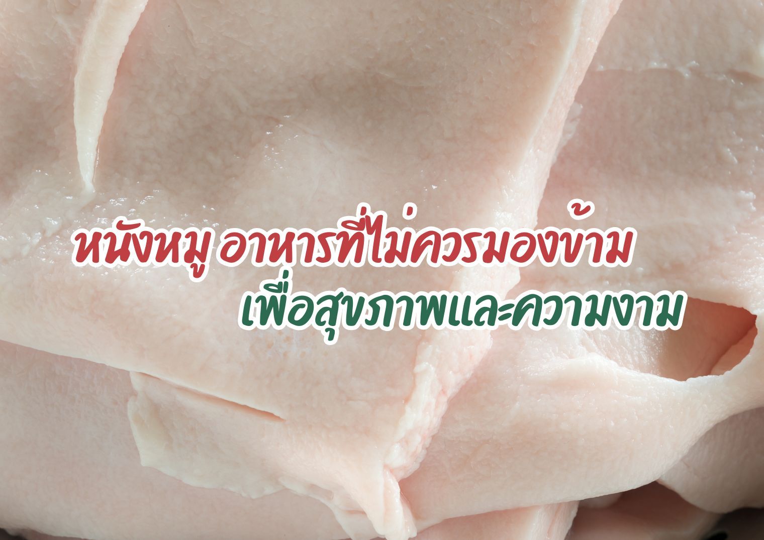 รูปภาพหน้าปก 3b90de5c-984c-4db7-90f4-bd8daac4608a