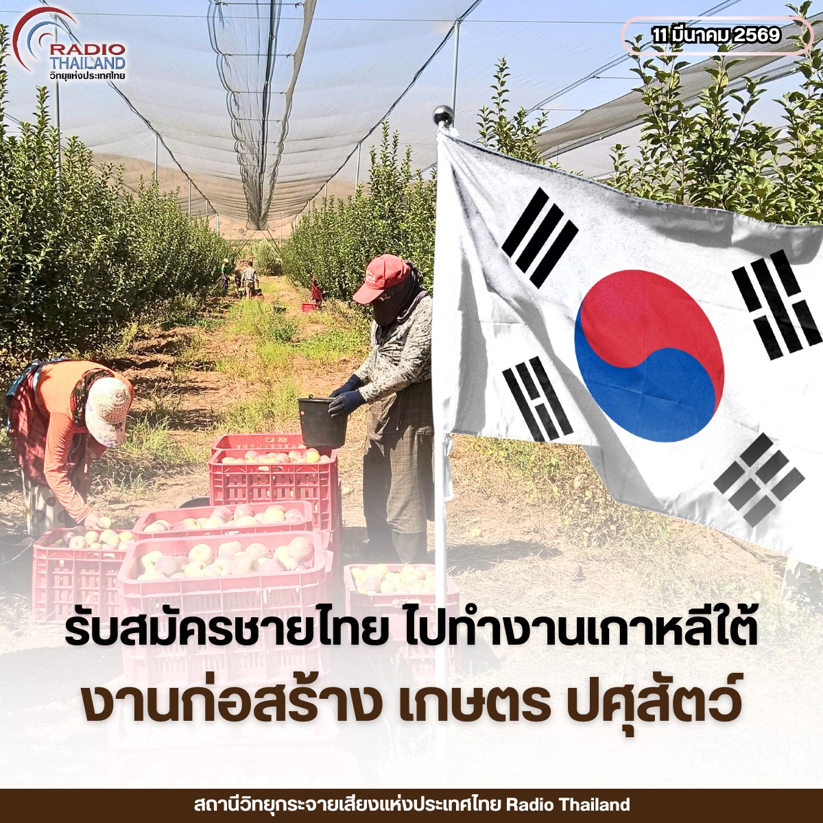 รูปภาพหน้าปก cd51939e-d221-481f-abe8-3dd96fb3abe3