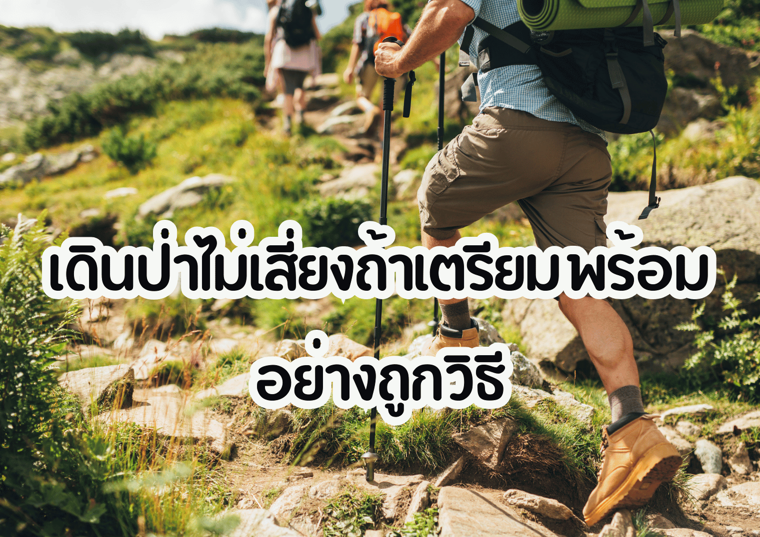 รูปภาพหน้าปก 0e701ca9-40ff-42f0-8094-d63407dd2aae