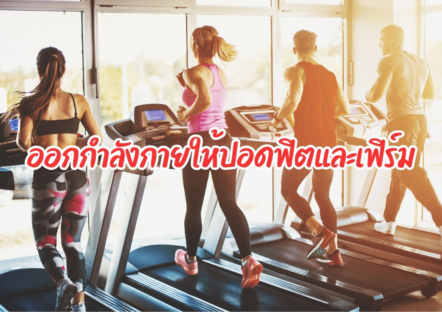 รูปภาพหน้าปก 4ad39764-ccb4-4da8-be81-be16924ee2d7