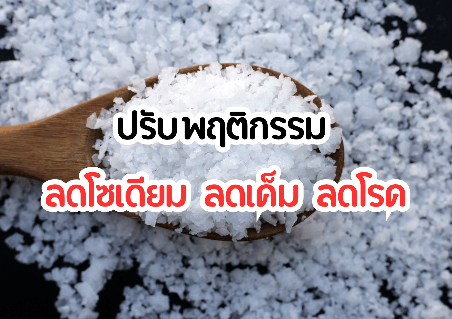 รูปภาพหน้าปก a19e49ba-ba18-45dd-8b44-5553d78c207b