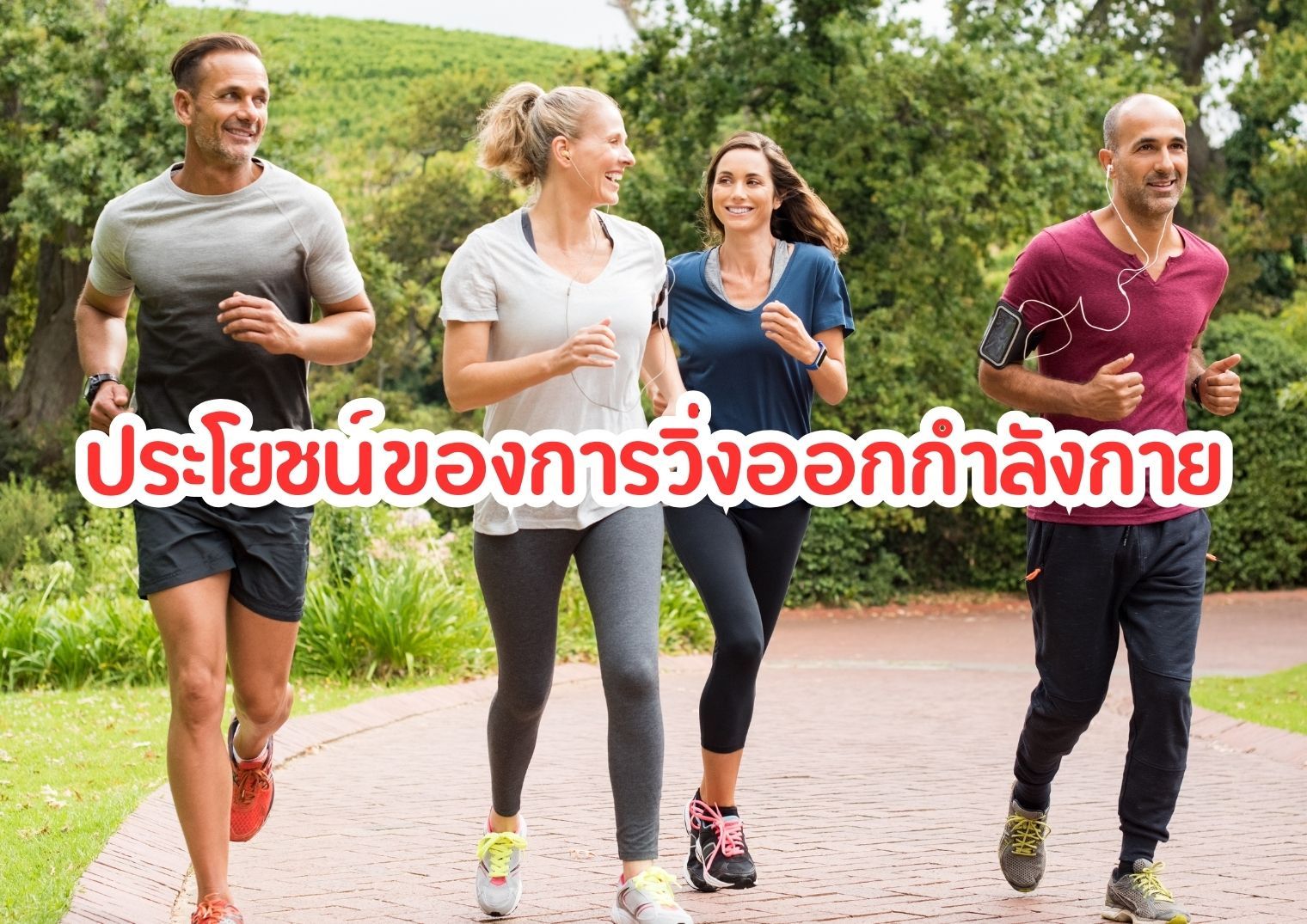 รูปภาพหน้าปก 02622b6e-b756-49bb-8c98-e688c28dd75e