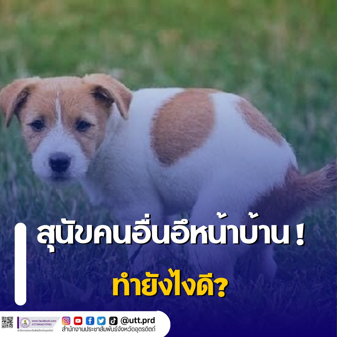 รูปภาพหน้าปก 90a2e26f-a227-4f52-a728-e4c92344c700