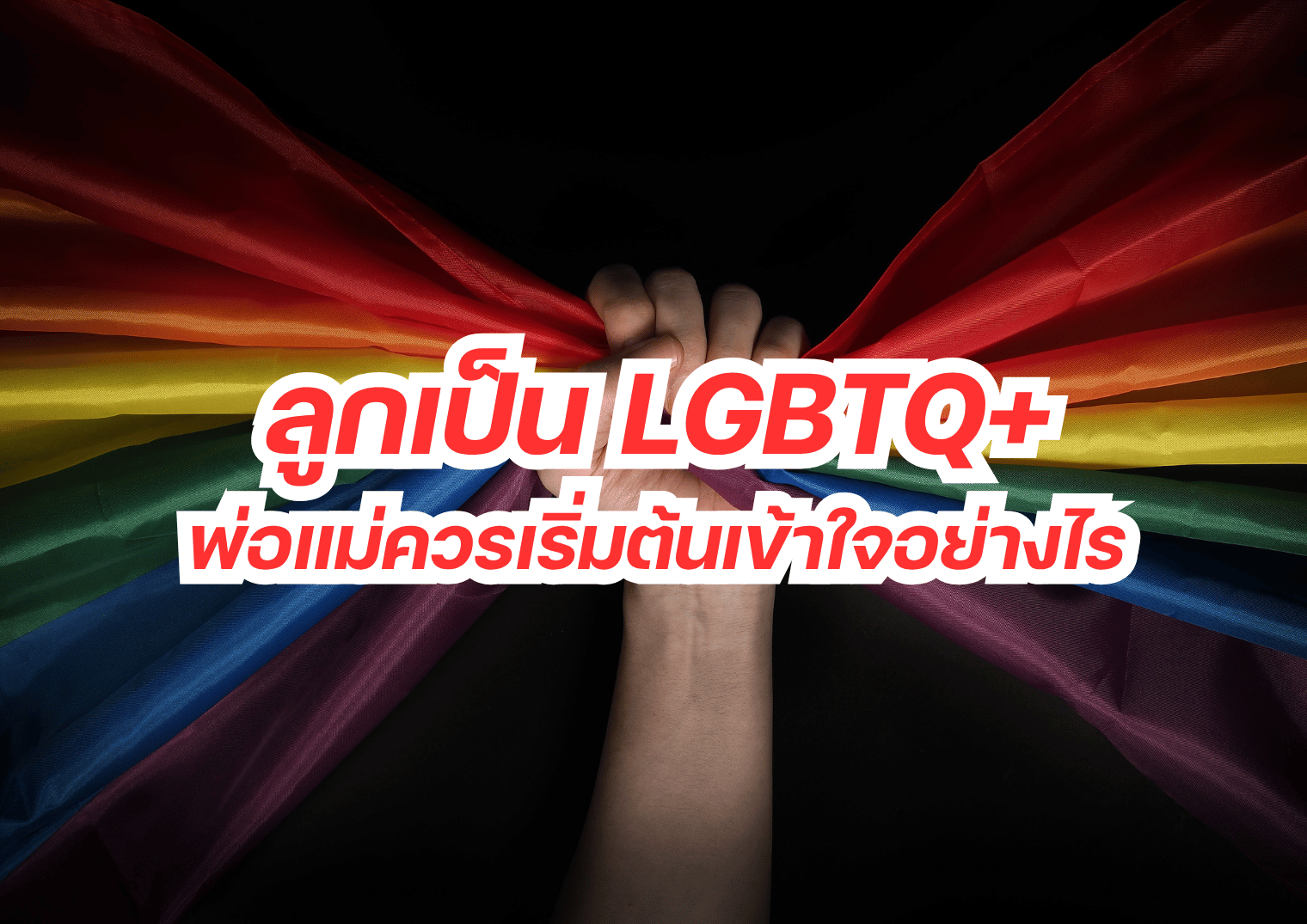 รูปภาพหน้าปก bafdf17d-b1d2-4fa9-8d83-f3ba8df1a110