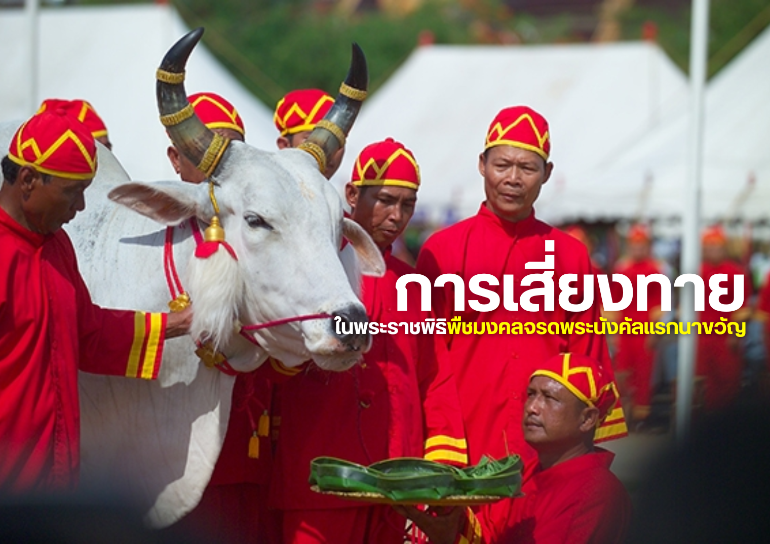 รูปภาพหน้าปก 71009602-255b-45c8-84eb-ae74c2621321