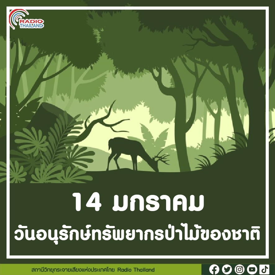 รูปภาพหน้าปก eb3525d2-ac71-4431-a1c8-22afabe39ef1