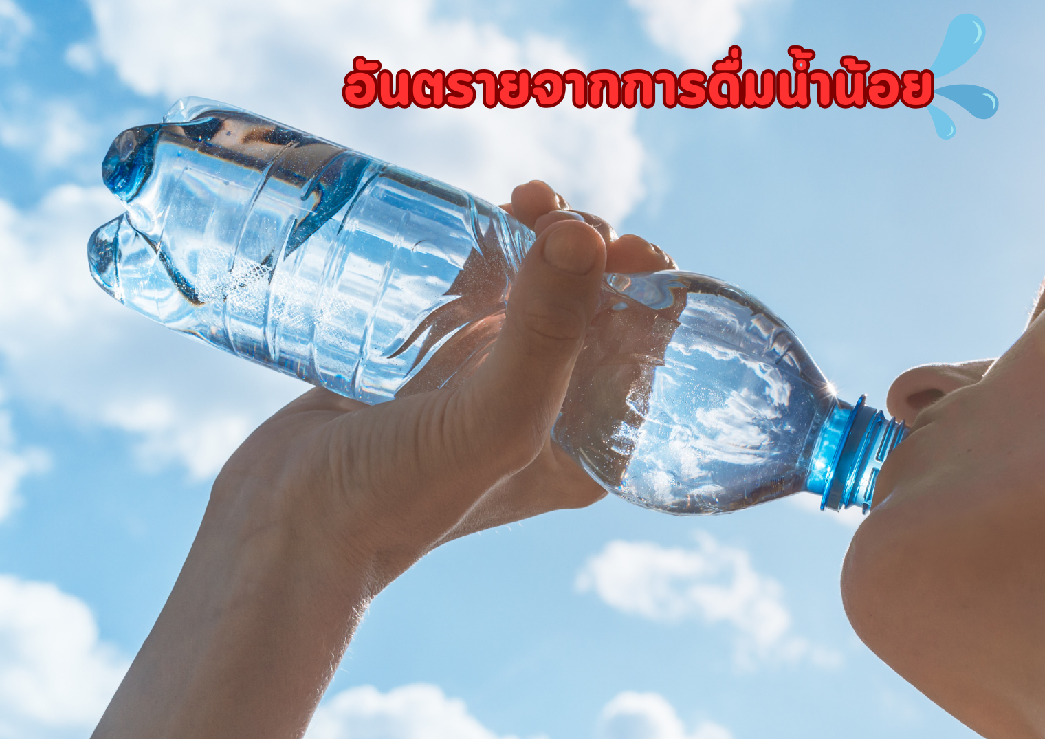 รูปภาพหน้าปก 0f9af86a-d872-4959-8ff4-c2eae15b3f0d