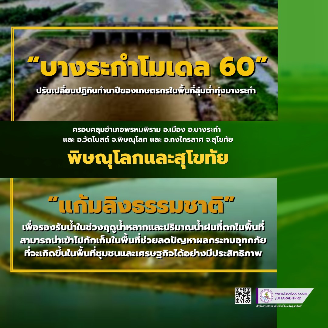 รูปภาพหน้าปก a8e87679-cc7b-4741-9a1c-9b0e0a5ffc1f