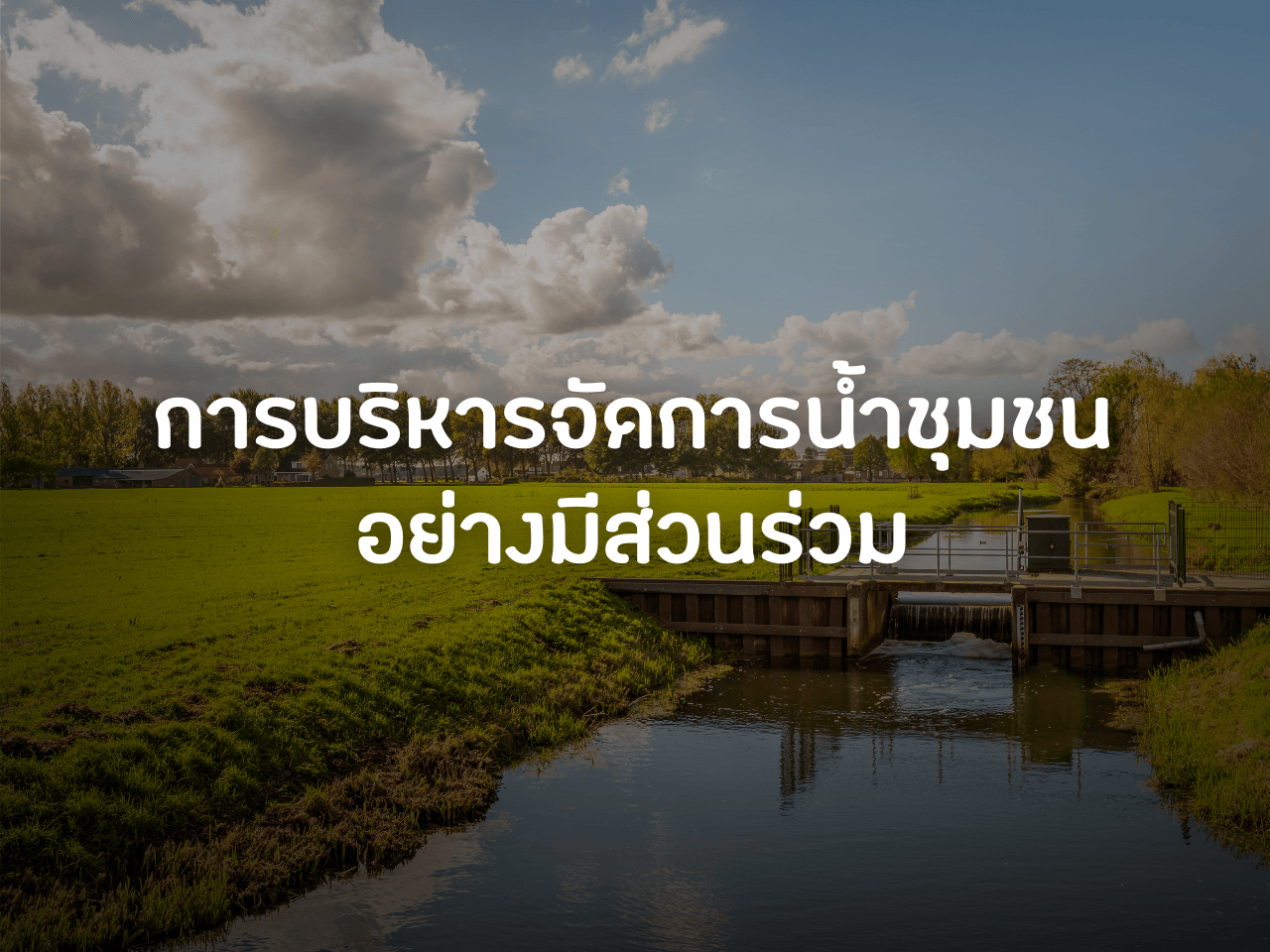 รูปภาพหน้าปก 3fc21af2-d8e0-4202-8259-80bb8609e28e