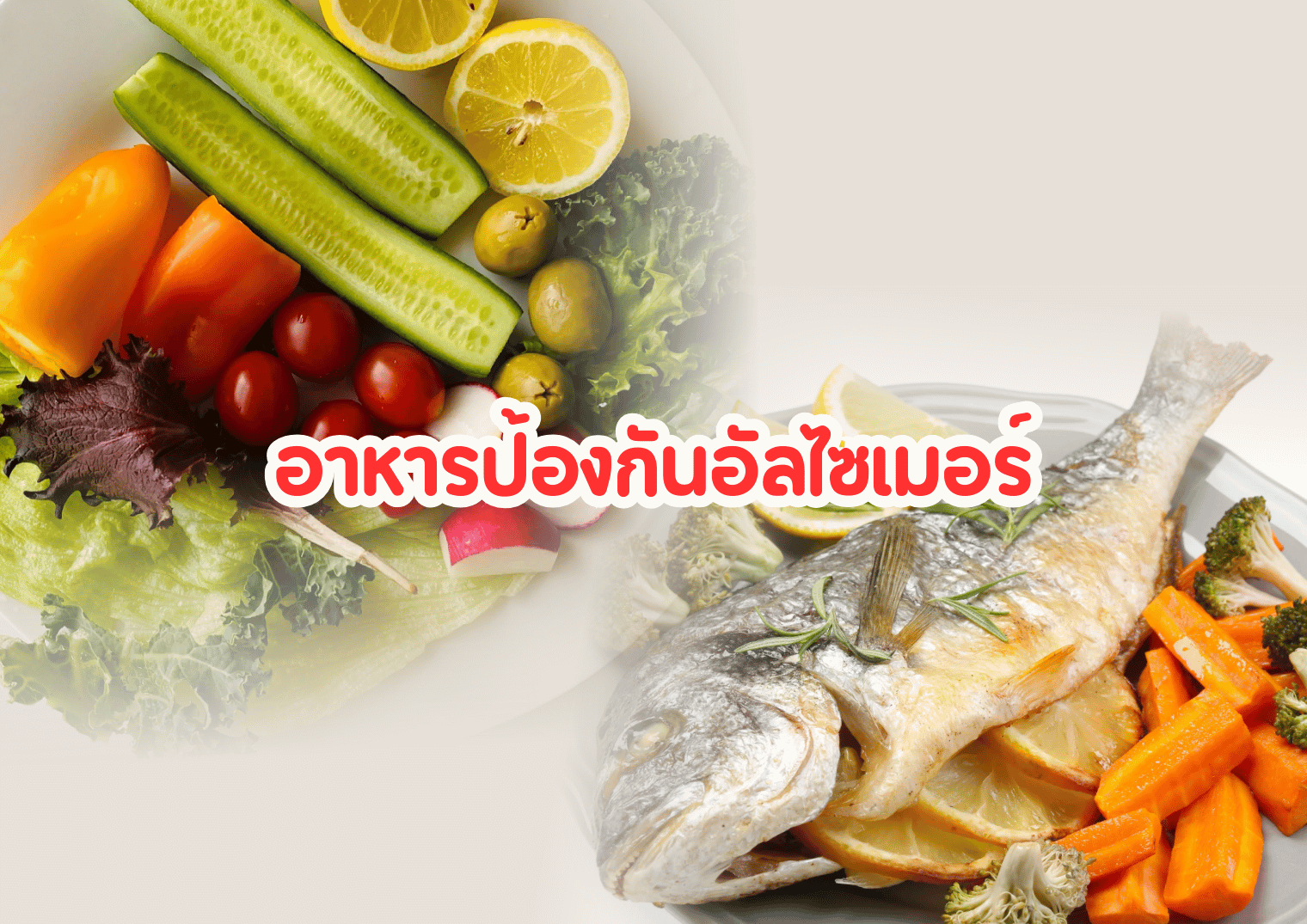 รูปภาพหน้าปก a29ec014-557e-4f66-9a7a-6c6f6b9c1005