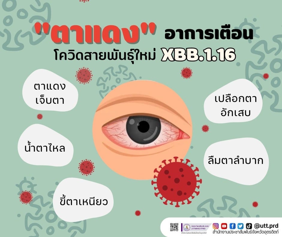 รูปภาพหน้าปก 52784811-b800-4c66-9550-3e9e954e11e9