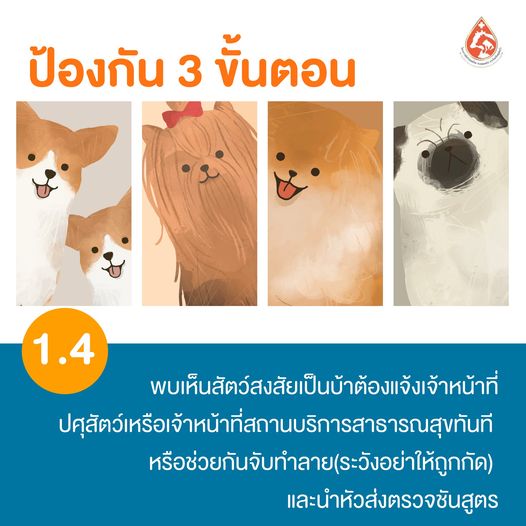 รูปภาพหน้าปก 2d290e9e-1e30-4fa2-8234-51575d4bb157