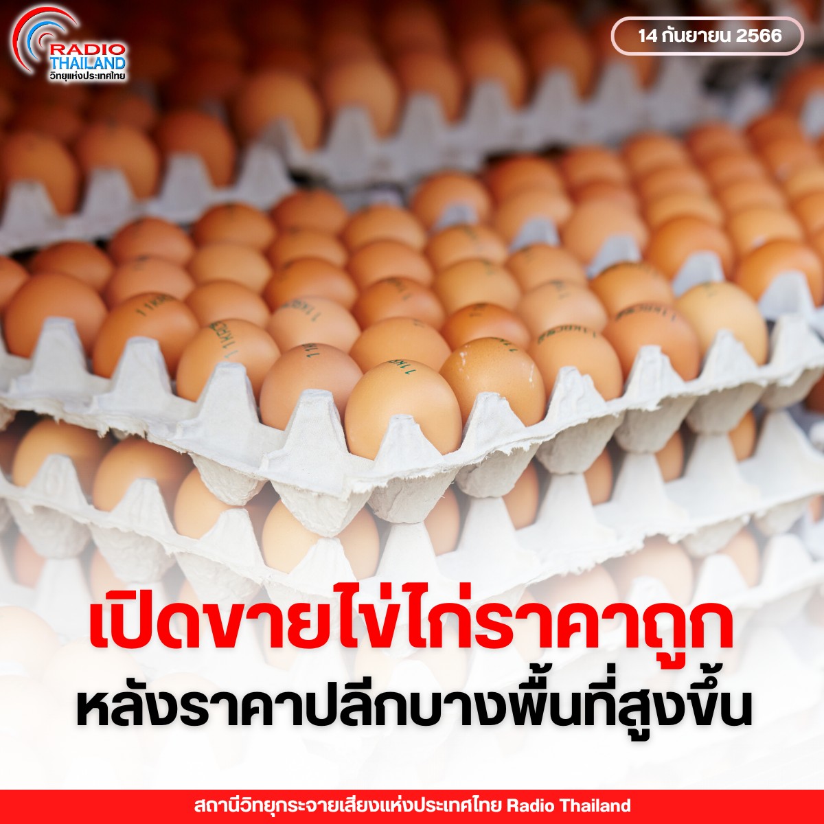 รูปภาพหน้าปก 9960ea74-5ff3-4468-a0e8-29ee706274e4
