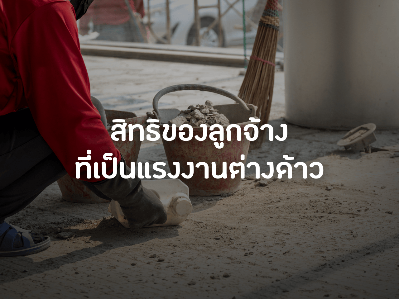 รูปภาพหน้าปก b55935c3-f176-484d-993c-f90e2b7fb334