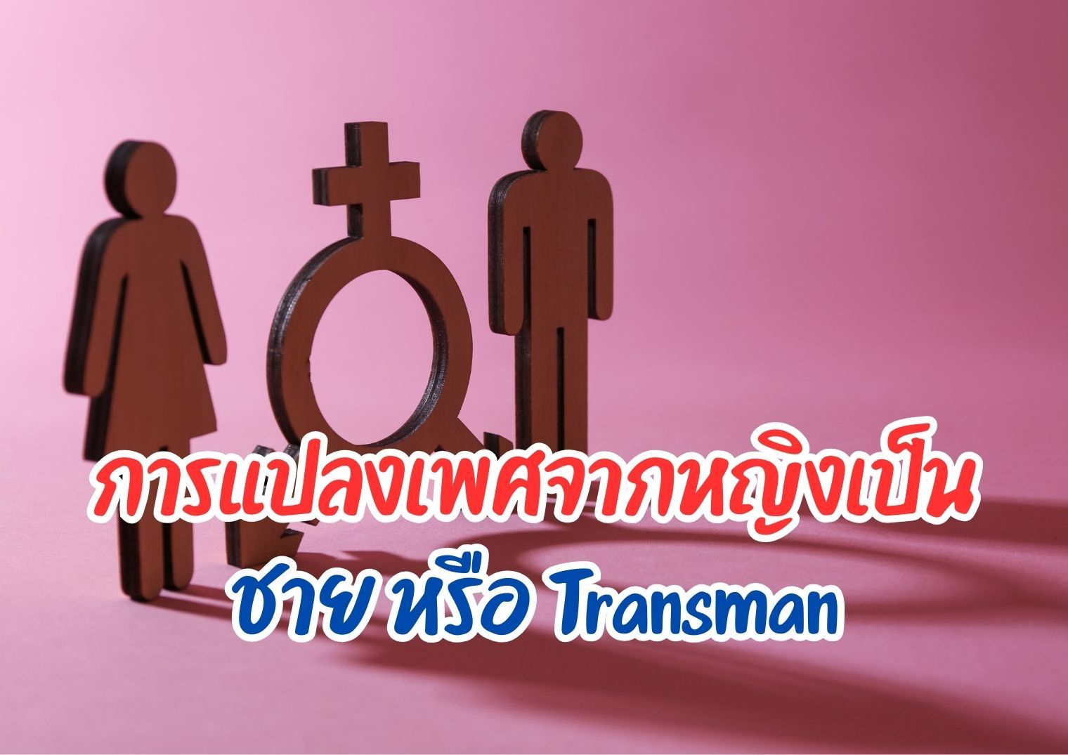 รูปภาพหน้าปก ed833725-3e94-4b62-85a2-350040a2e4e7