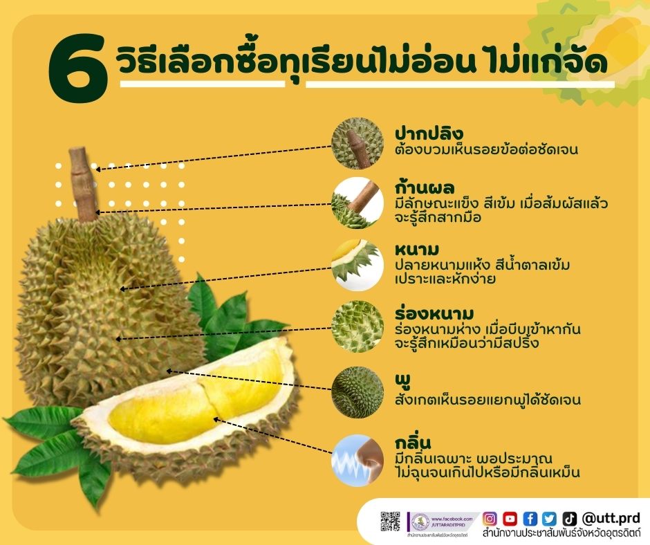 รูปภาพหน้าปก d0f81238-8277-4fe8-a256-6dabf089a0ad
