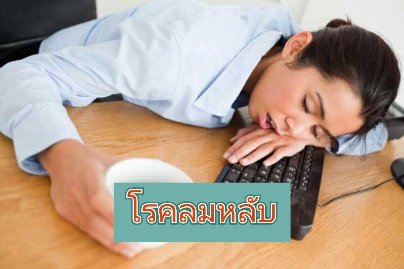 รูปภาพหน้าปก 252e96e1-efc8-4570-a42a-cbe731d8c838