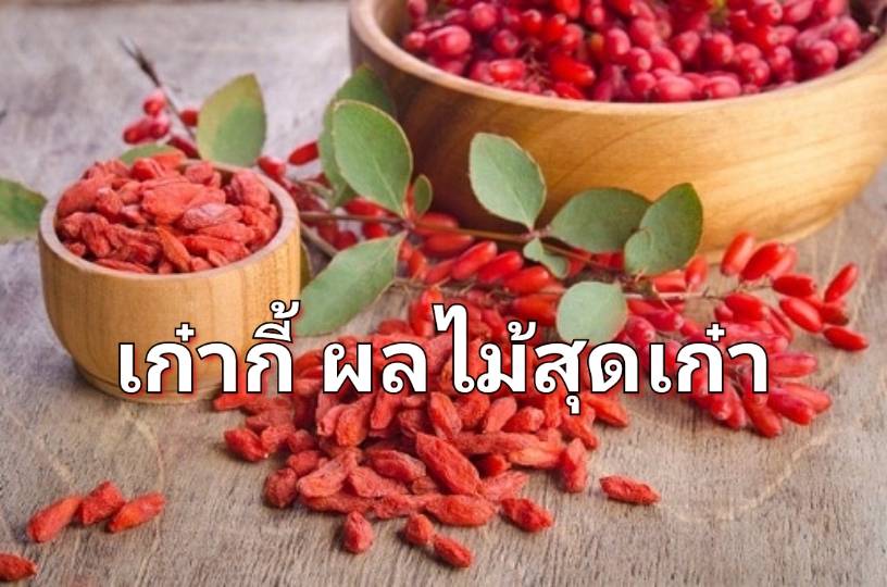รูปภาพหน้าปก 31e33f7e-01f1-4d55-a902-91cfc1cffb9f
