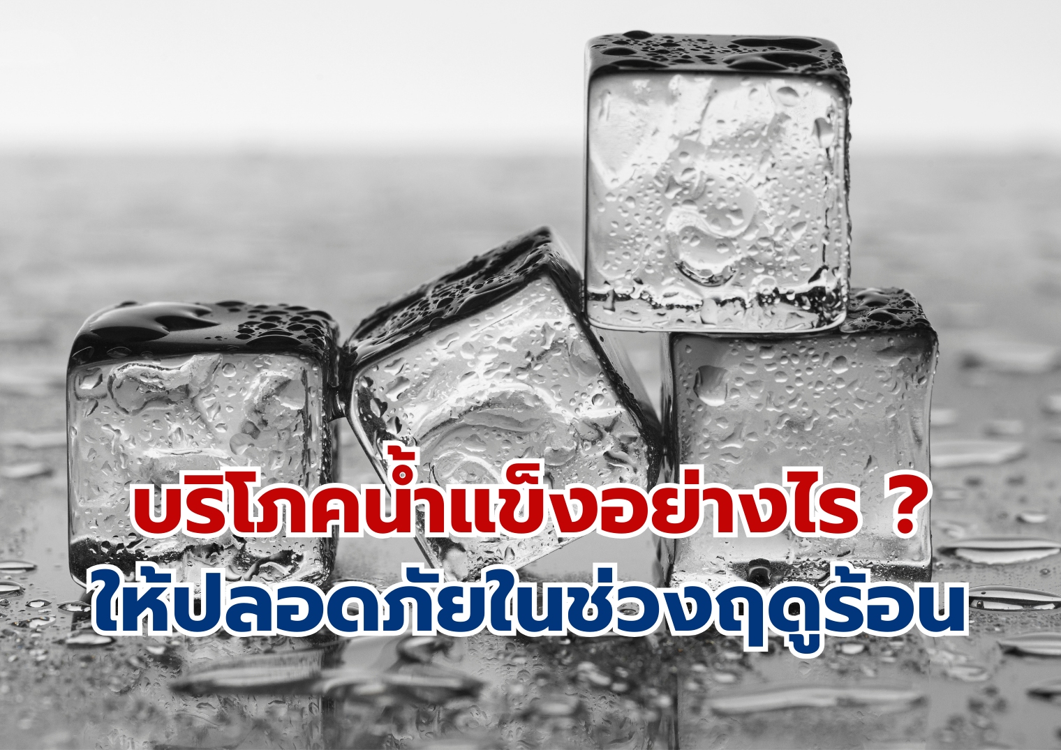 รูปภาพหน้าปก 980af924-116e-488f-bc26-1ded6a949444