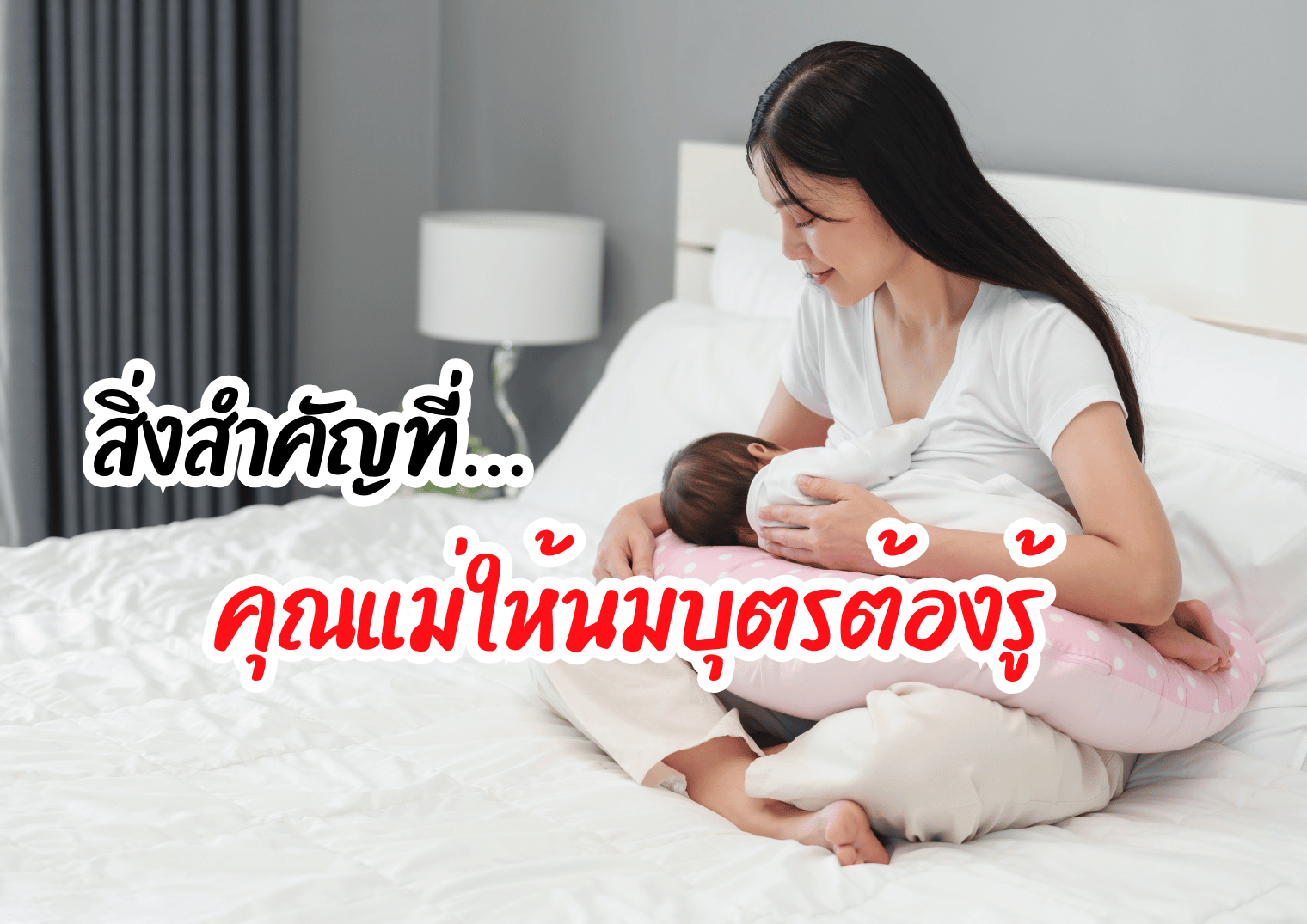 รูปภาพหน้าปก c319923c-603c-4649-84d3-9b8f44eb6b67