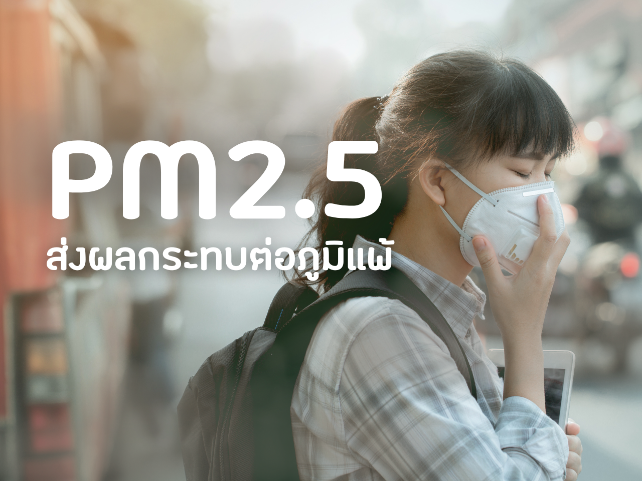 รูปภาพหน้าปก 40717eb7-ef06-40f9-a669-999766a54376