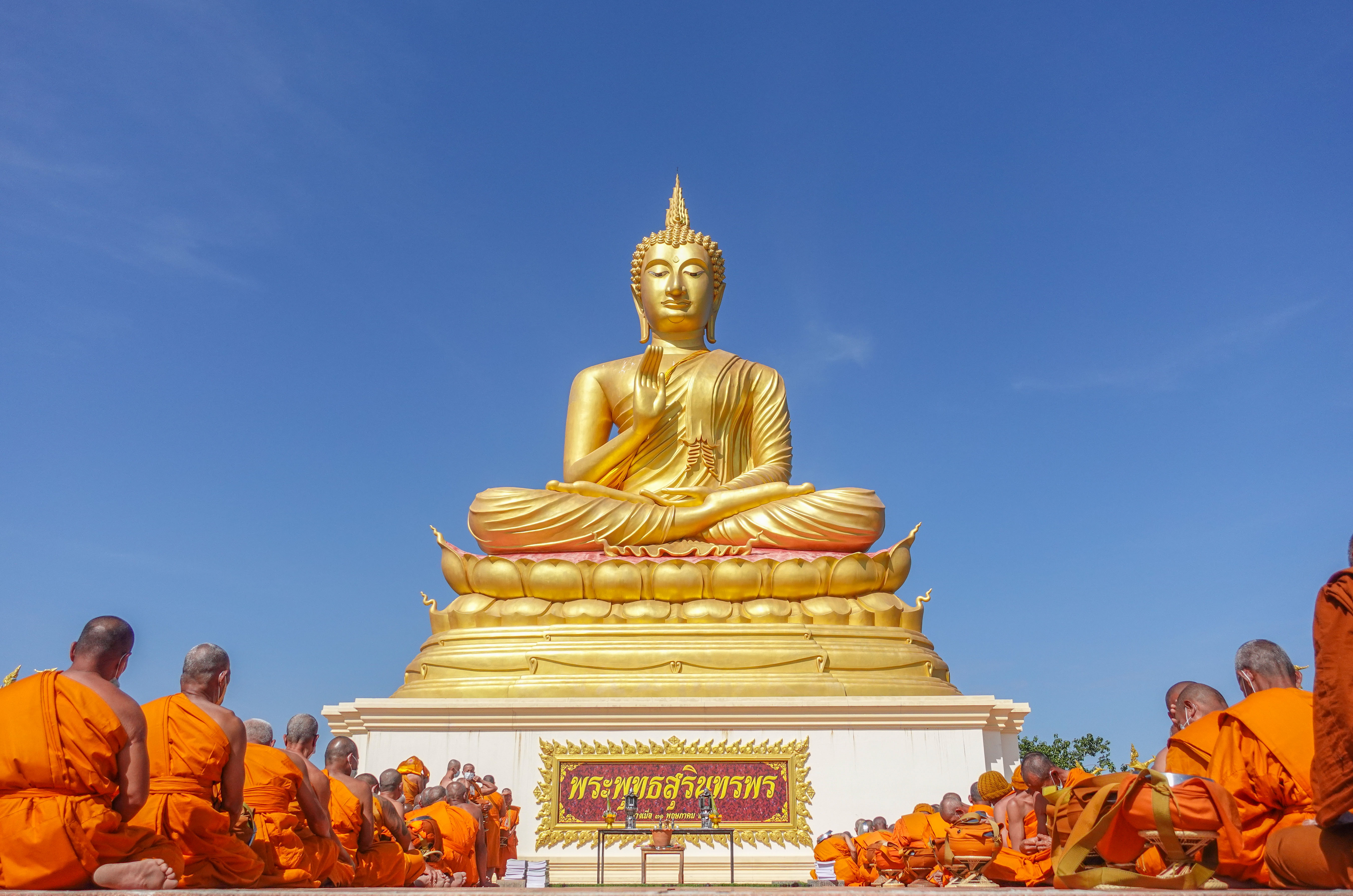 รูปภาพหน้าปก 0de5a221-f7fd-4eeb-9fb5-16a50f513cef