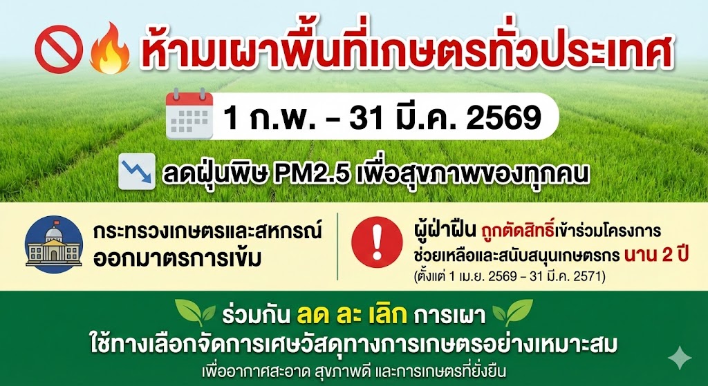 รูปภาพหน้าปก 81bb2d54-63a8-4d5c-961b-1e7b0f9b3d59