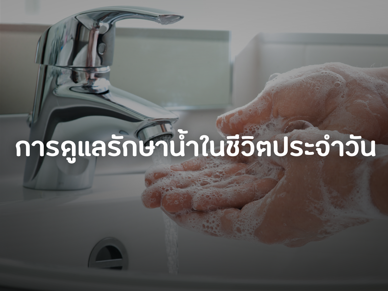 รูปภาพหน้าปก 61f39507-454f-465c-bfd8-5ef256454043