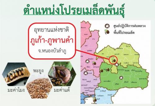 รูปภาพหน้าปก 23b98d43-6906-4bbf-a45f-89cb50258550