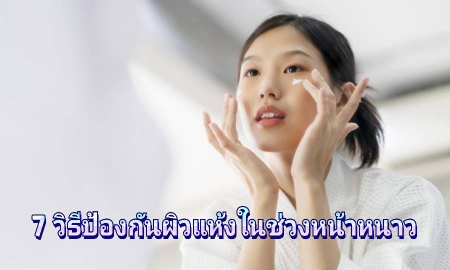 รูปภาพหน้าปก 3e7a2ff8-45f6-4483-889e-f6aaa27fa831