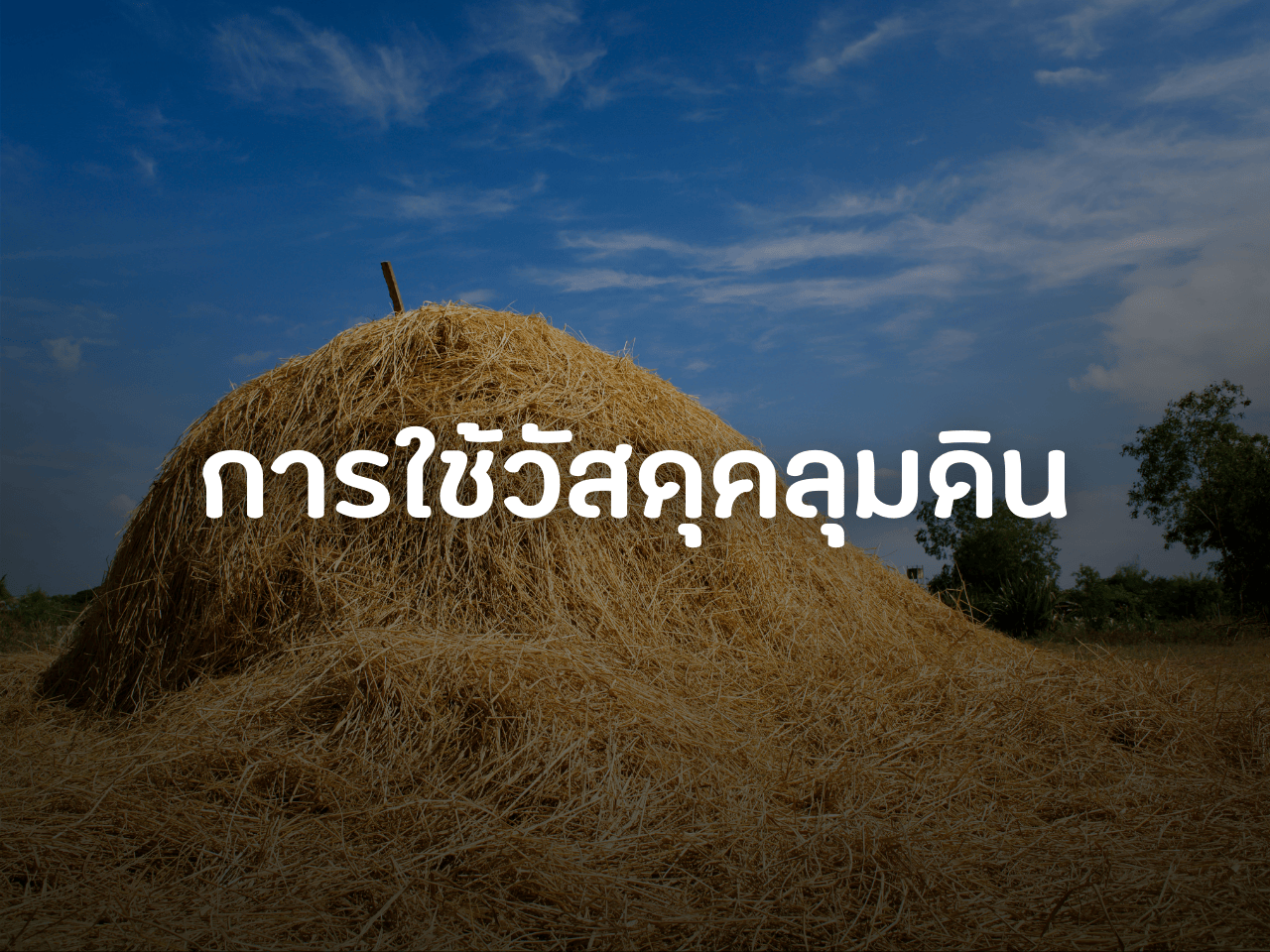 รูปภาพหน้าปก d7b74282-22d1-4a73-a9e9-c11458926e17