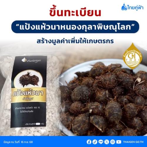 รูปภาพหน้าปก 2de331f4-4e00-4a6b-86a3-60c0c1e7608c